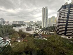 Central Green Condominium (D3), Condominium #559345091
